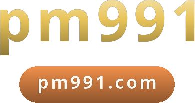 pm991 logo
